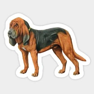 London Sherlock Holmes Detective Bloodhound Dog Sticker